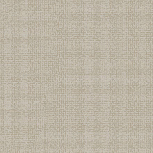 Однотонные серые обои (фон) Alessandro Allori Bruni 1005-11 RBN