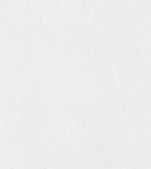 Bernardo Bartalucci Gaga  84284-23