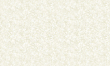 Bruno Zoff Gold 60124-1