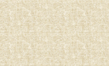 Bruno Zoff Gold 60121-1