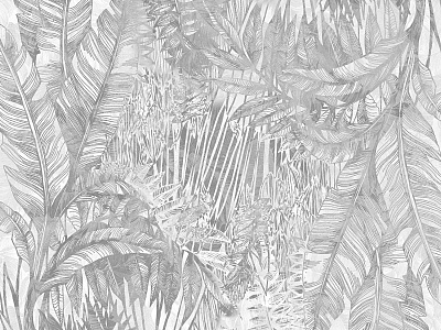 Фотообои Zoo 2, ZOO, Wall street Фотообои Zoo 2, ZOO, Wall street